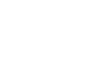 logo dip